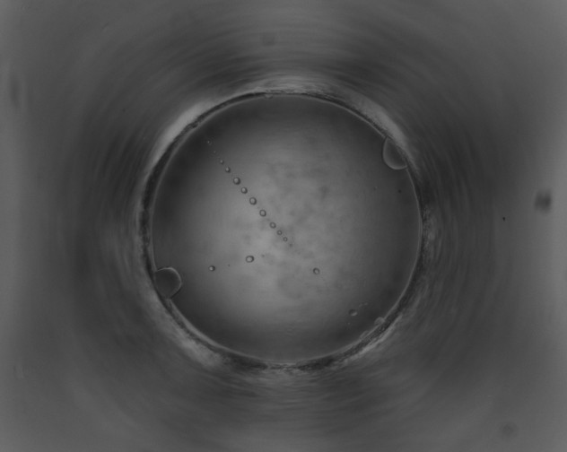 X0000090631091200707171442