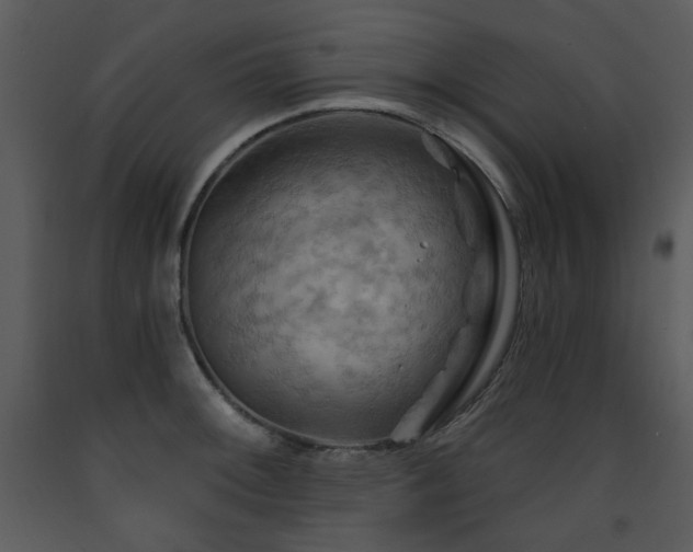 X0000090631092200707171442