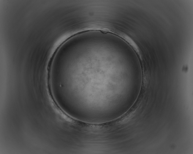 X0000090631096200707171442