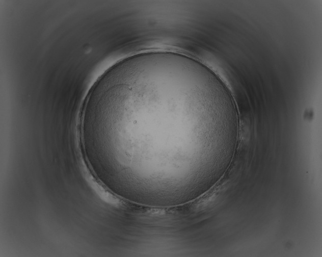 X0000090631098200707171442