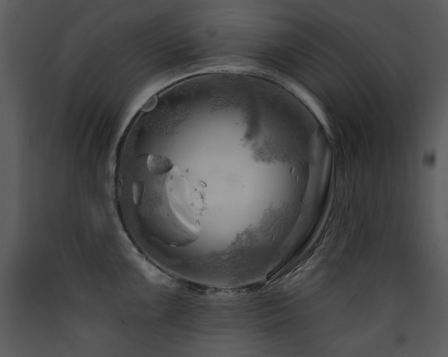 X0000090631099200707171442