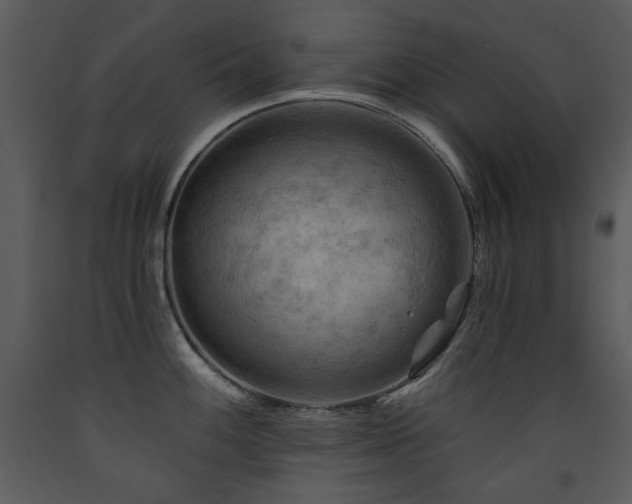 X0000090631100200707171442