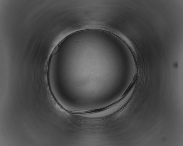 X0000090631102200707171442