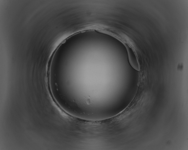 X0000090631103200707171442