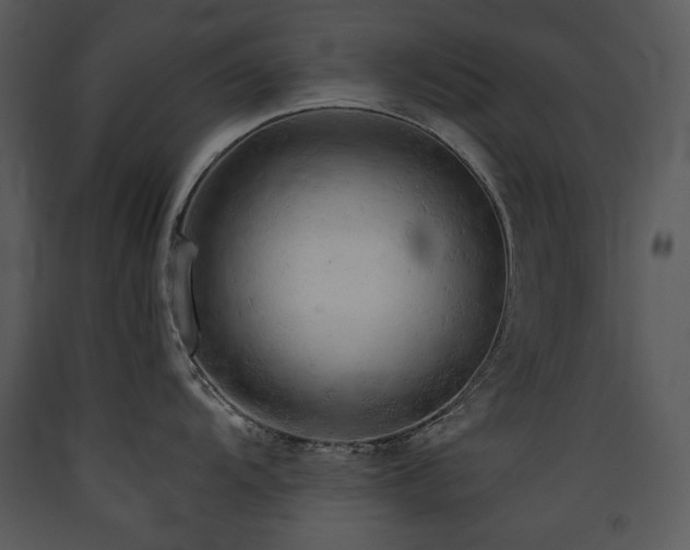 X0000090631104200707171442