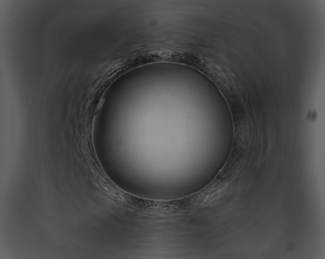 X0000090631105200707171441