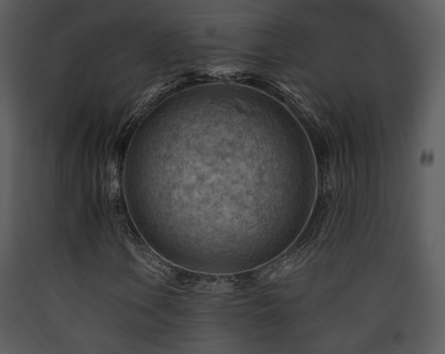 X0000090631106200707171441