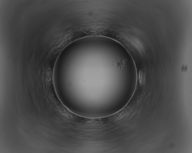 X0000090631107200707171441