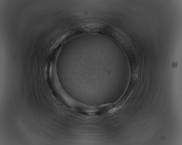 X0000090631108200707171441