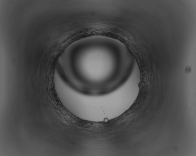 X0000090631109200707171441