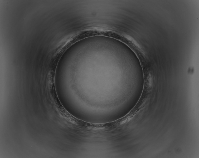 X0000090631110200707171441