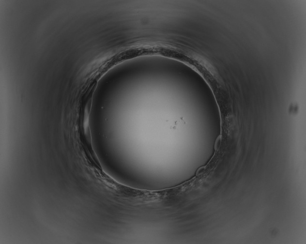 X0000090631111200707171441