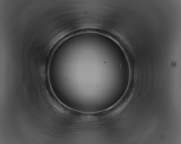 X0000090631113200707171441