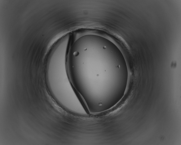 X0000090631114200707171441
