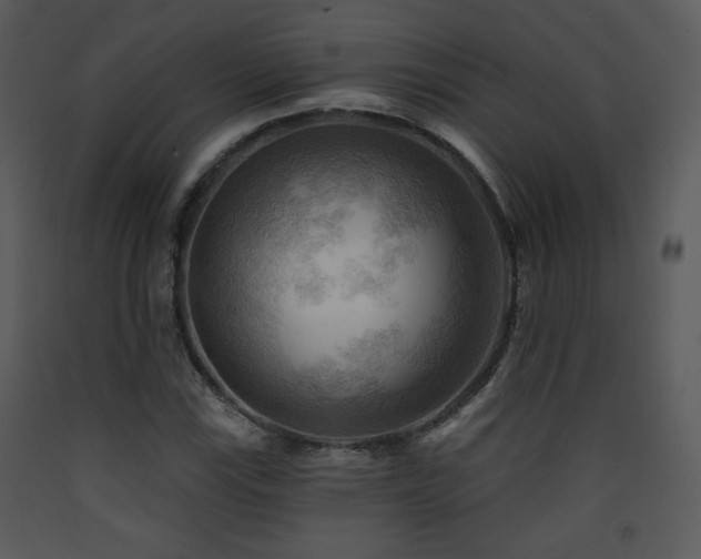 X0000090631115200707171441