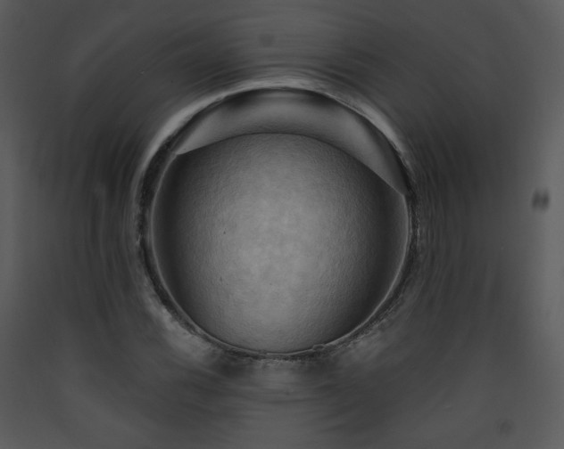 X0000090631116200707171441
