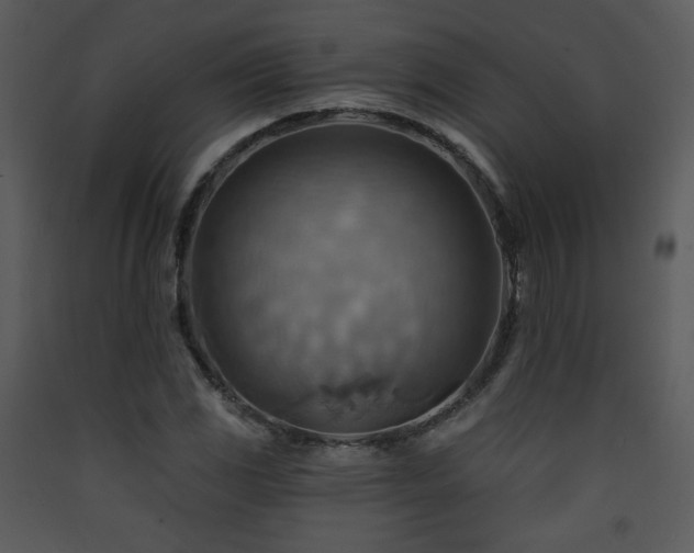 X0000090631117200707171441