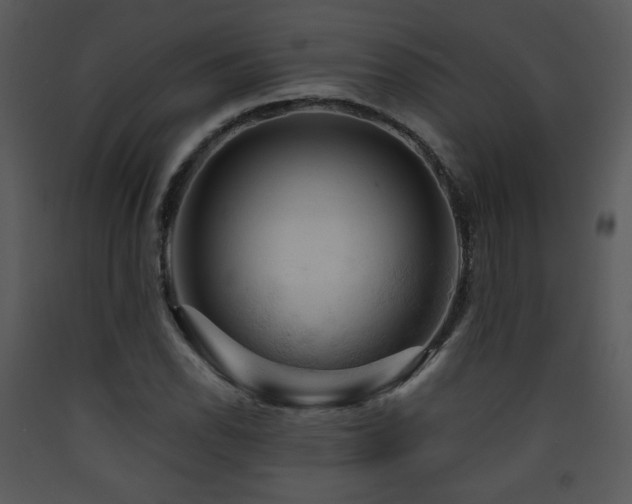 X0000090631118200707171441