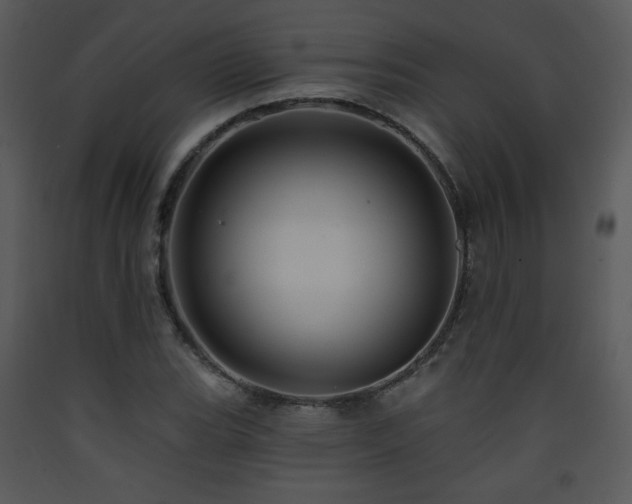 X0000090631119200707171441