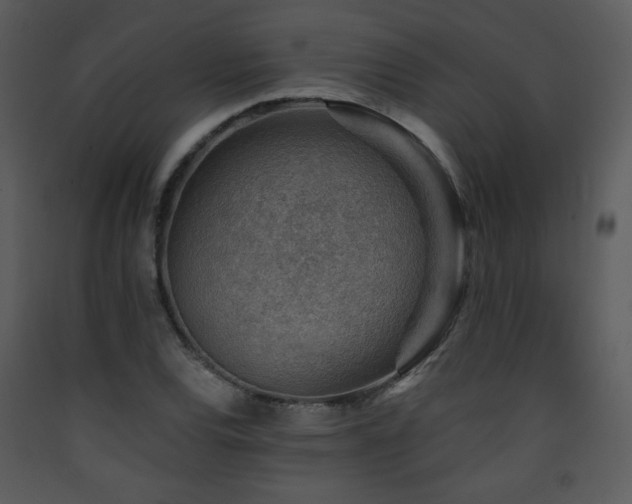 X0000090631120200707171441