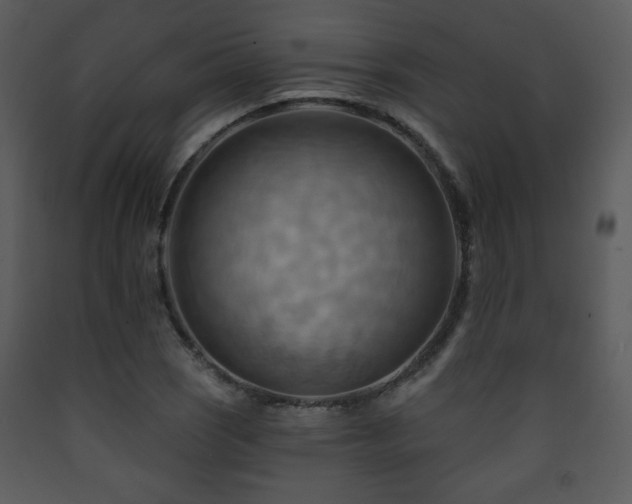 X0000090631121200707171441