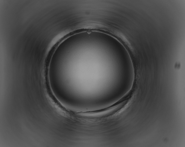 X0000090631122200707171441