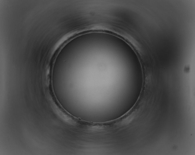 X0000090631126200707171441