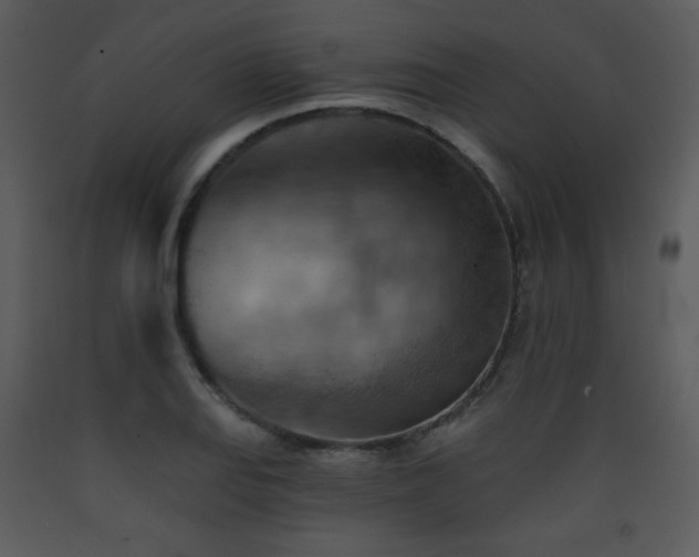 X0000090631127200707171441