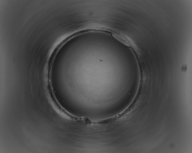 X0000090631128200707171441
