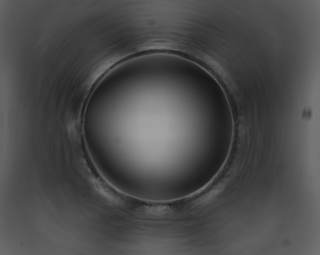 X0000090631129200707171441