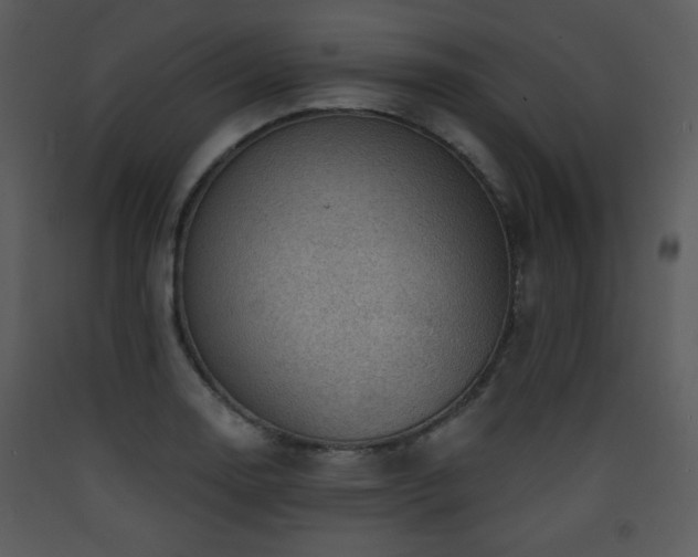 X0000090631130200707171441