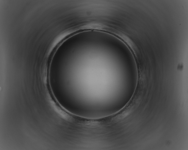 X0000090631131200707171441