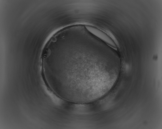 X0000090631132200707171441