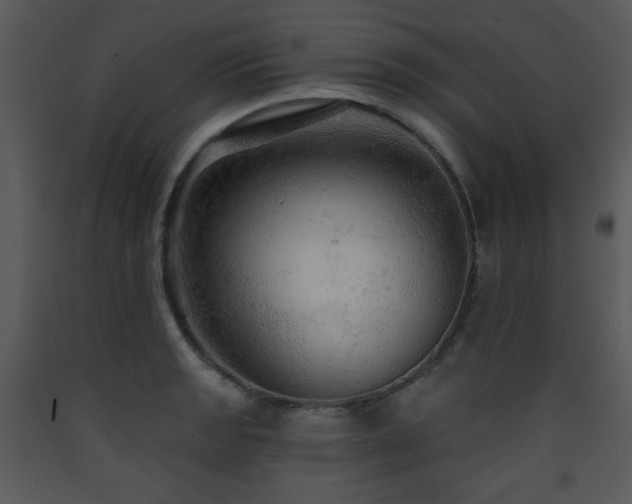 X0000090631133200707171441