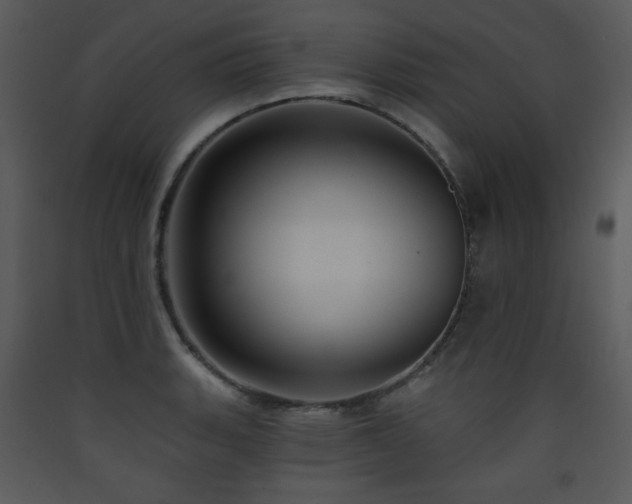 X0000090631135200707171441