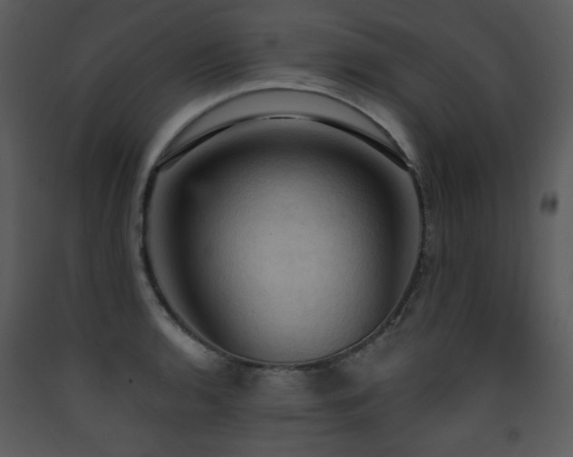 X0000090631136200707171441