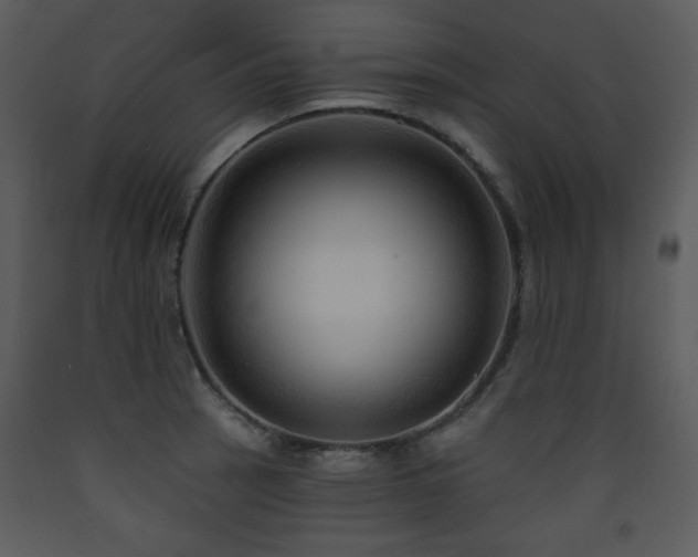 X0000090631137200707171441