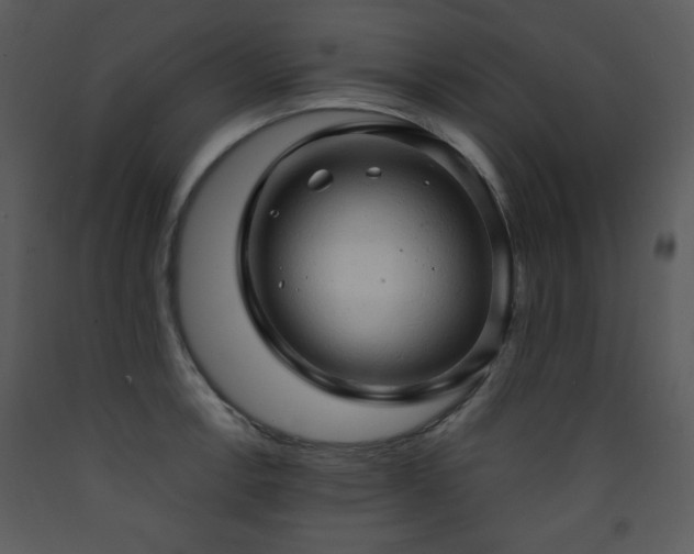 X0000090631138200707171441