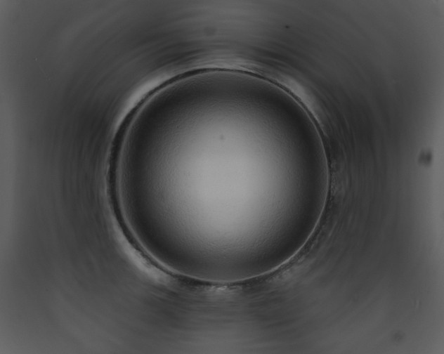 X0000090631139200707171441
