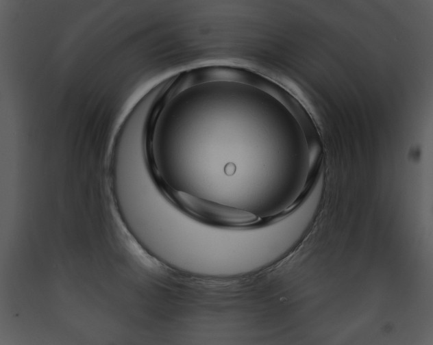 X0000090631140200707171441