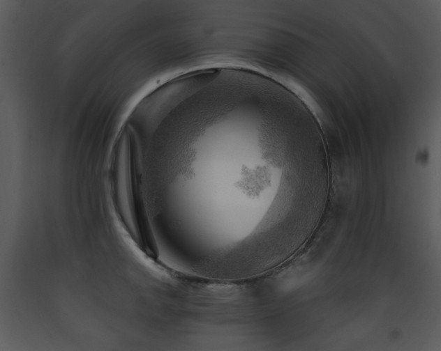 X0000090631142200707171442