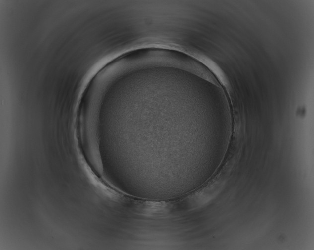 X0000090631144200707171442
