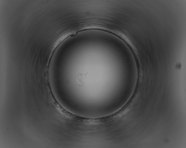 X0000090631145200707171442