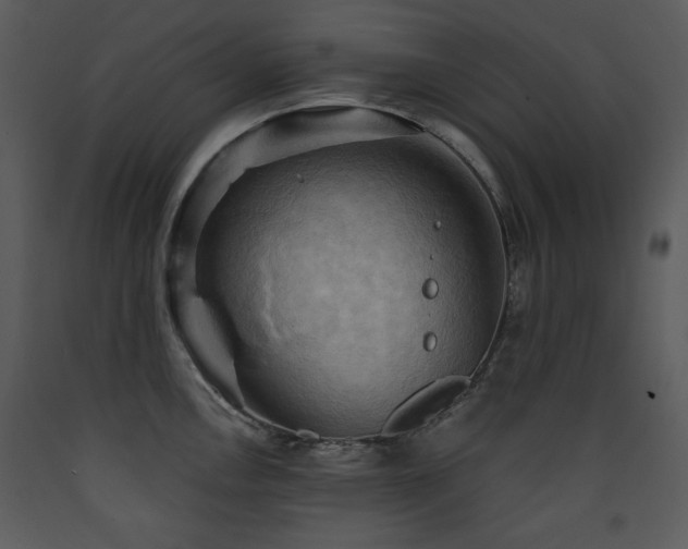 X0000090631146200707171442