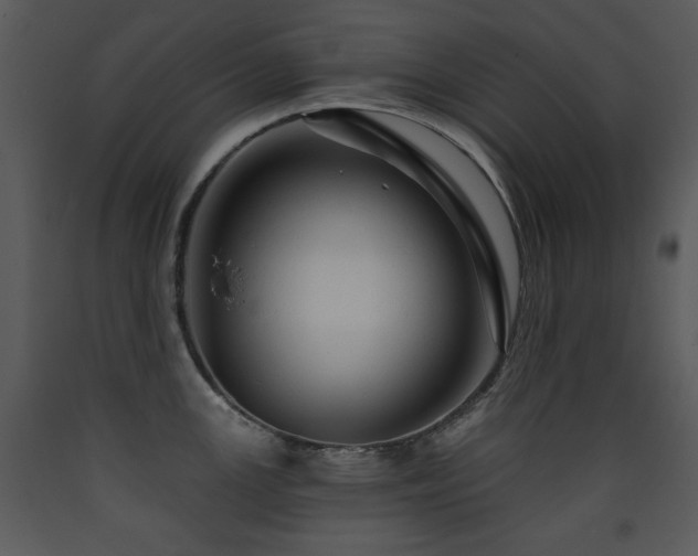 X0000090631147200707171442
