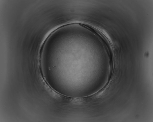X0000090631148200707171442