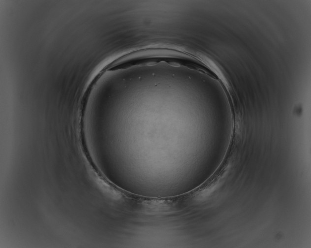 X0000090631149200707171442