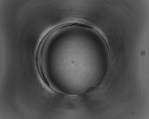 X0000090631152200707171442