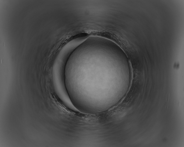 X0000090631153200707171441