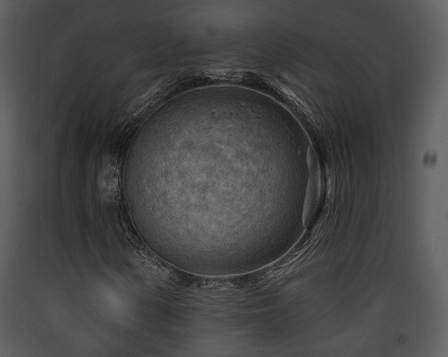 X0000090631154200707171441
